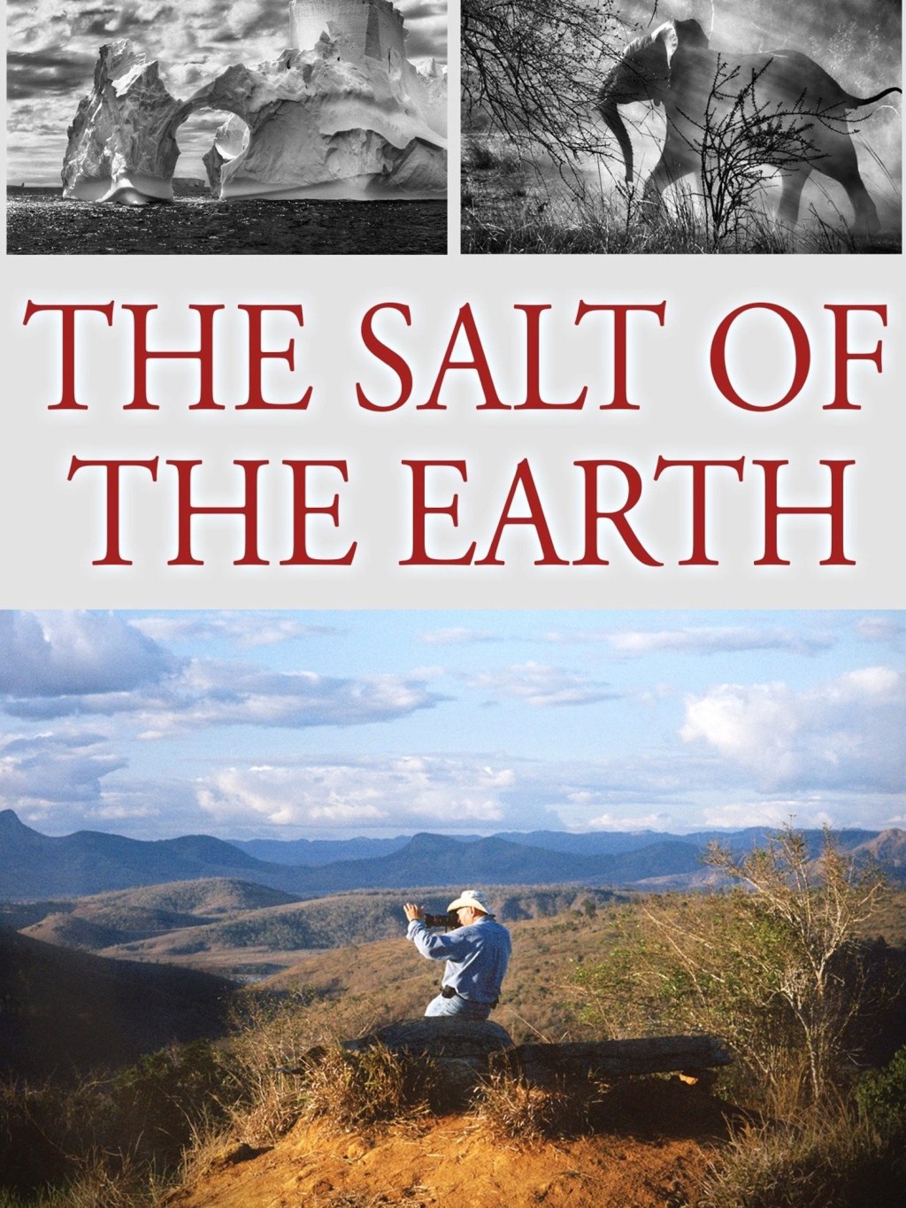 5th Sunday in Ordinary Time (Year A)